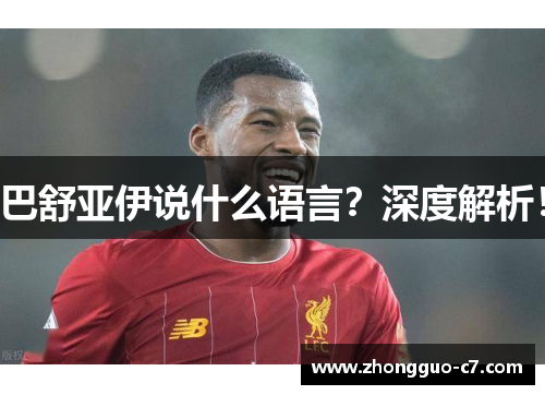 巴舒亚伊说什么语言？深度解析！